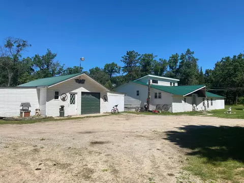 450 S Ream Rd, Mio, MI 48647
