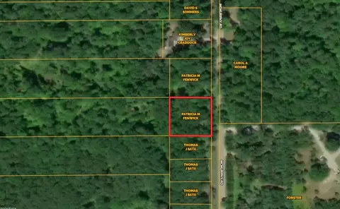 lot9 Mcmurphy Rd Atlanta Mi 49709, Atlanta, MI 49709