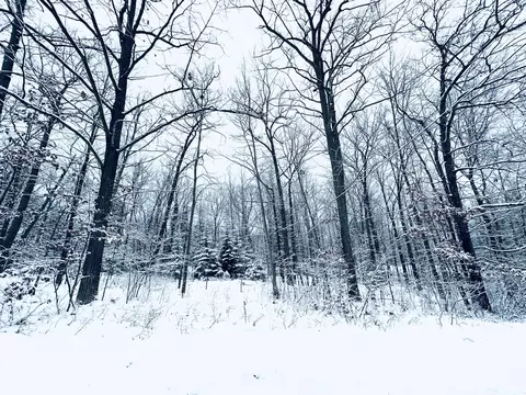 502 St Louis Avenue Roscommon Mi 48653 Ave, Roscommon, MI 48653 photo 6