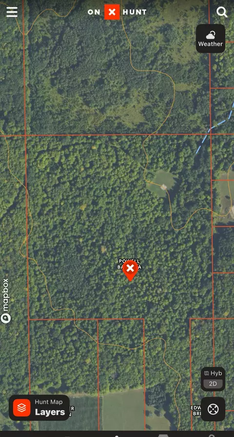 Nhn Klein Road, Hillman, MI 49746