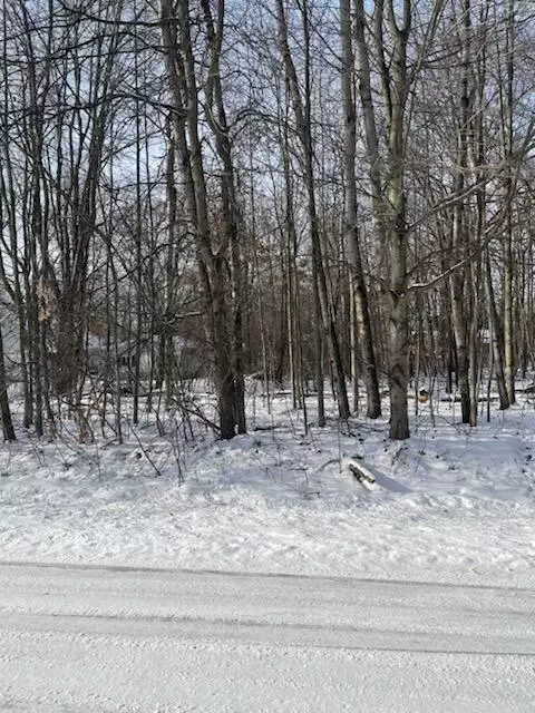 lot171 Englewood Drive Roscommon Mi 48653 Dr, Roscommon, MI 48653