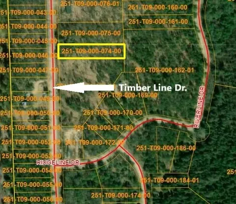 16731 Timber Line Dr, Wolverine, MI 49799 photo 1