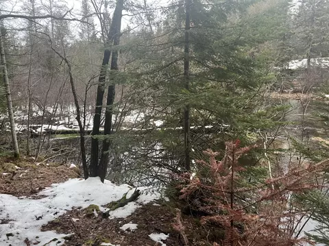Parcel B Elbow Trail, Grayling, MI 49738 photo 4