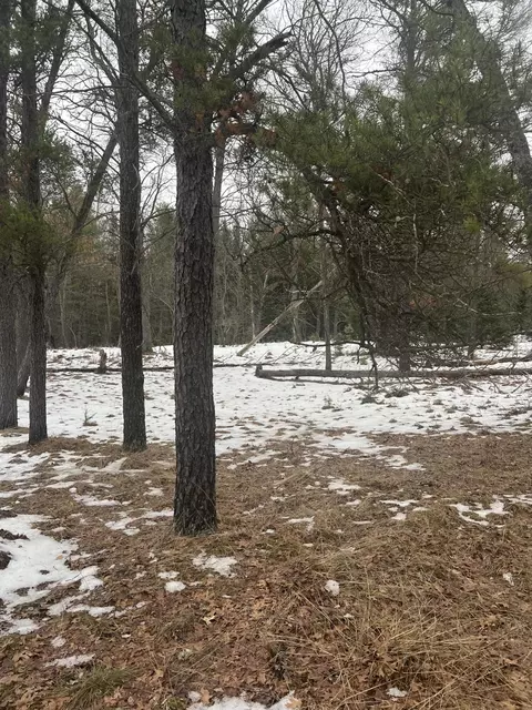 Parcel B Elbow Trail, Grayling, MI 49738 photo 11