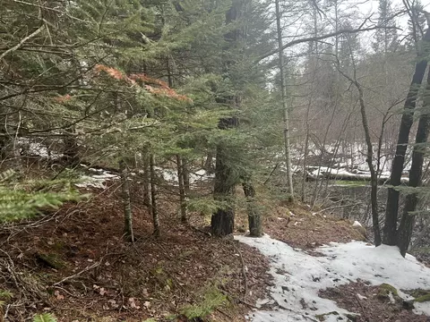 Parcel B Elbow Trail, Grayling, MI 49738 photo 8