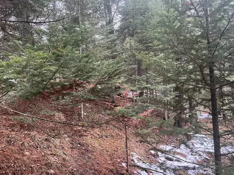Parcel B Elbow Trail, Grayling, MI 49738 photo 10