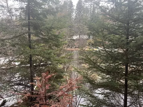 Parcel B Elbow Trail, Grayling, MI 49738 photo 5