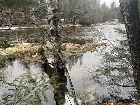 Parcel B Elbow Trail, Grayling, MI 49738 photo 2