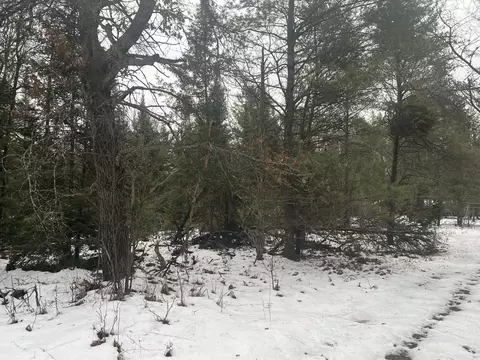 Parcel B Elbow Trail, Grayling, MI 49738 photo 6