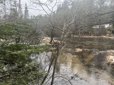 Parcel B Elbow Trail, Grayling, MI 49738 photo 3