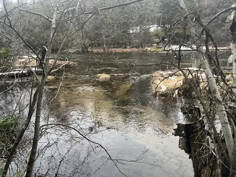 Parcel B Elbow Trail, Grayling, MI 49738