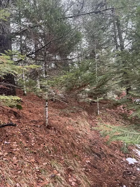 Parcel B Elbow Trail, Grayling, MI 49738 photo 9
