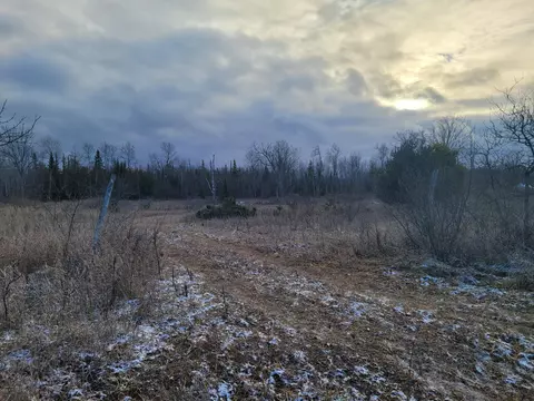 N Palmer Road, Onaway, MI 49765