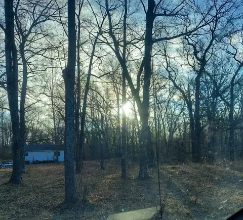 2593 Prince Dr, Greenbush, MI 48738
