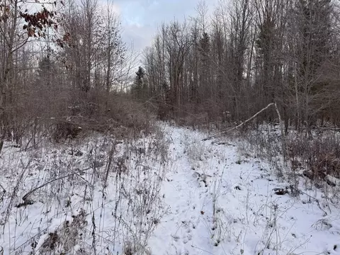 Nhn Pratt, Ossineke, MI 49766