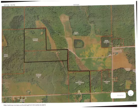 Off Of Noffze Highway, Hawks, MI 49743