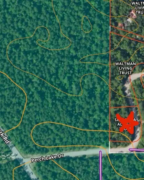 Perch Lake Drive, Newberry, MI 49868