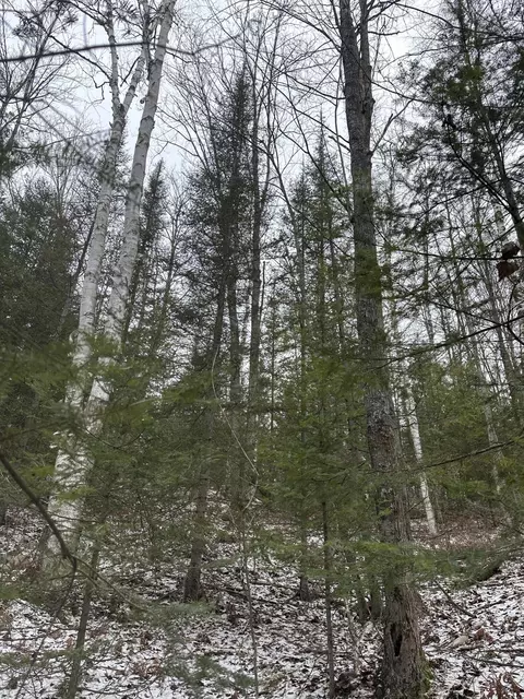 18335 Pleasant Valley Road Road 449 Acres Atlanta Mi 49709 Rd #4.49 ACRES, Atlanta, MI 49709