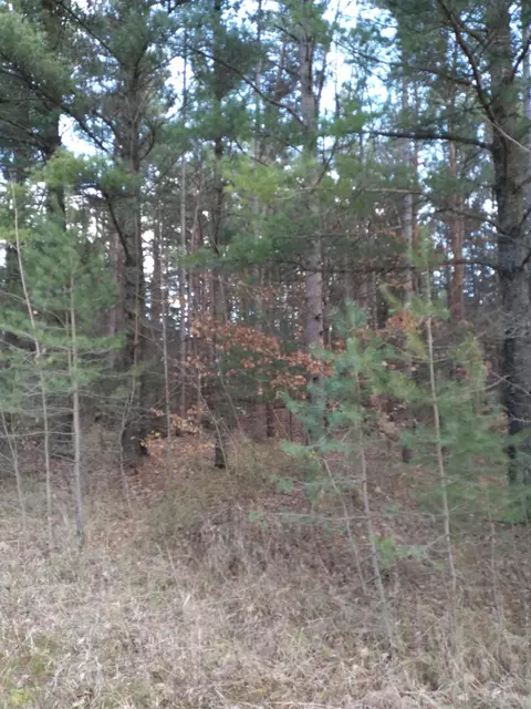lot154 Wilderness Drive Mancelona Mi 49659, Mancelona, MI 49659