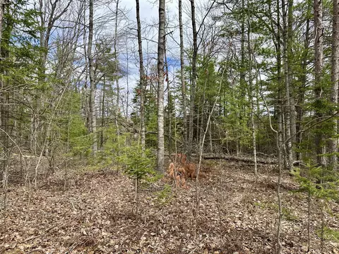 4409 Big Sky Trl #LOT 17, Indian River, MI 49749