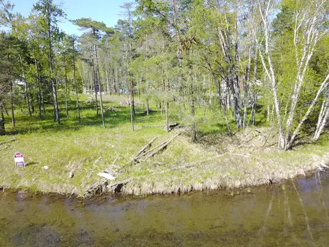 8145 Marathon Way Alanson Mi 49706, Alanson, MI 49706