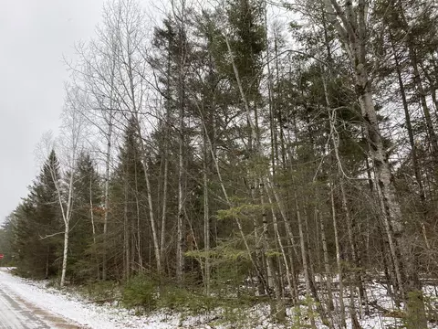 lot341 Northland Heights Drive 122-211-000-341-00 Presque Isle Mi 49777 #122-211-000-341-00, Presque Isle, MI 49777