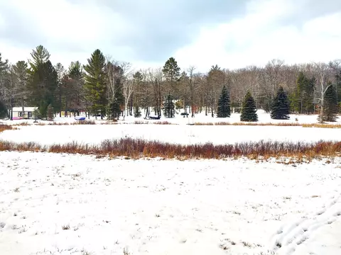 Nhn Loafers Lane, Hillman, MI 49746