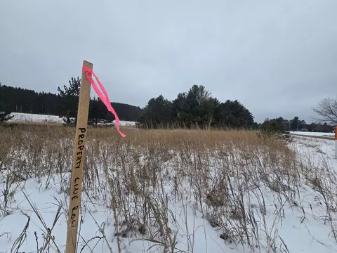 Gorton Road, Luzerne, MI 48636