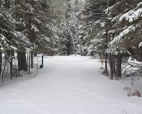 75 Evelyn Ave #1.56 ACRES, Grayling, MI 49738