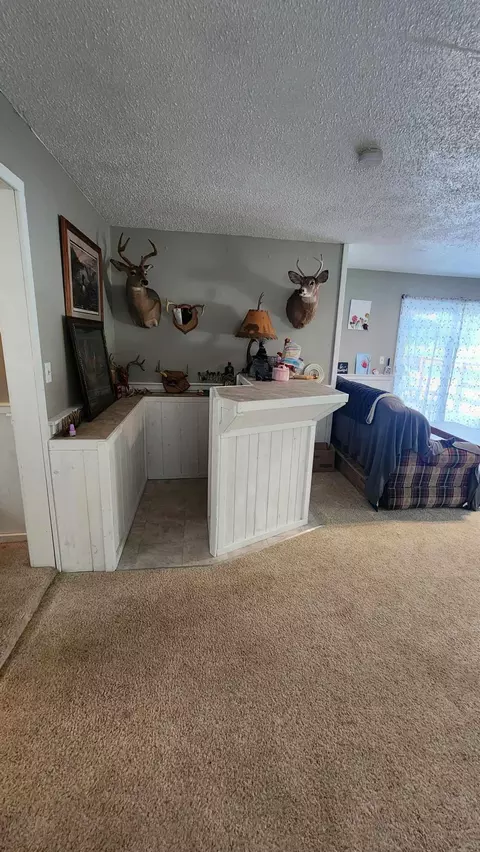 Other - 1043 Vandercook Road Mikado Mi 48745 Rd, Mikado, MI 48745 photo 3 of 6