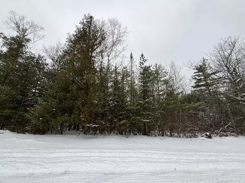 lot391 Balsam Dr, Presque Isle, MI 49777