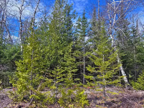 lot1 E Grand Lake Rd, Presque Isle, MI 49777
