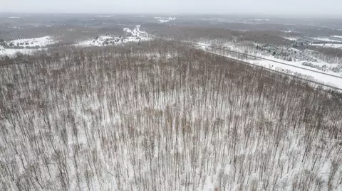 20 Acres Brudy Rd, Wolverine, MI 49799 photo 11