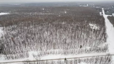 20 Acres Brudy Rd, Wolverine, MI 49799 photo 8