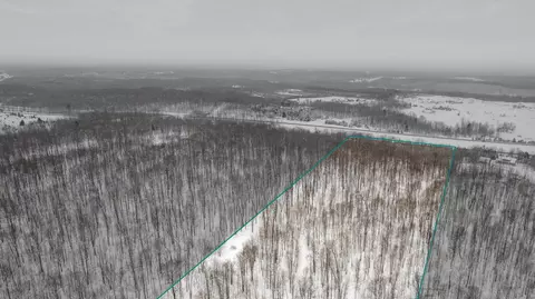 20 Acres Brudy Rd, Wolverine, MI 49799 photo 3