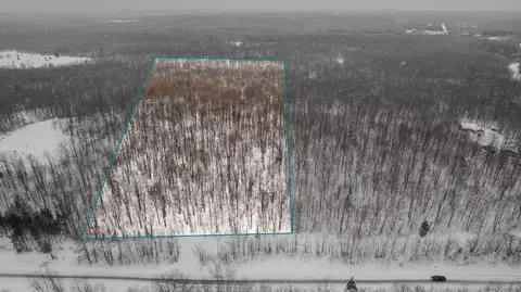 20 Acres Brudy Rd, Wolverine, MI 49799 photo 2