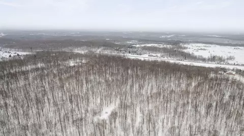 20 Acres Brudy Rd, Wolverine, MI 49799 photo 6