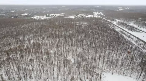 20 Acres Brudy Rd, Wolverine, MI 49799 photo 10