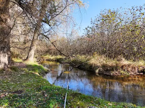 120 Oak Drive Roscommon Mi 48653 Dr, Roscommon, MI 48653 photo 3