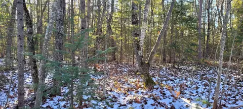 yarrup lane LOT S 618-621, Ocqueoc, MI 49759