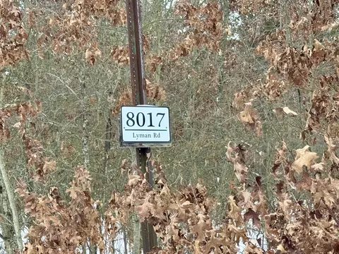 8017 Lyman Rd, Roscommon, MI 48653 photo 35