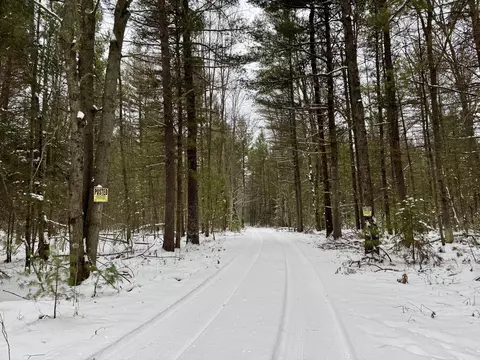 8017 Lyman Rd, Roscommon, MI 48653 photo 36