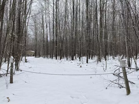 Peters Road, Posen, MI 49776