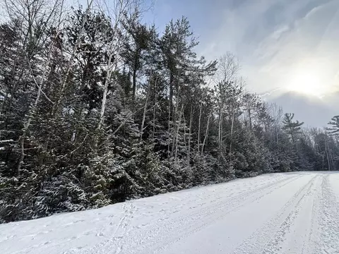 doyle drive LOT S 99 & 100, Presque Isle, MI 49777