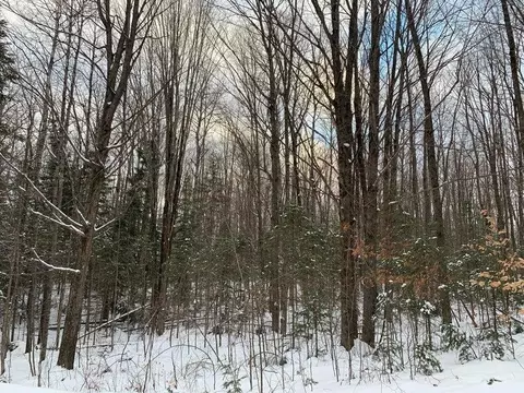 Lakeside Trail, Barton City, MI 48705