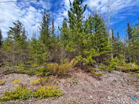 lot116 W Norwood Ct, Presque Isle, MI 49777
