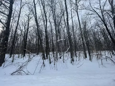 990-994 Arawak Pass, Gaylord, MI 49735
