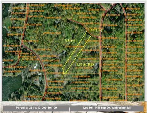 lot101 Hill Top Dr, Wolverine, MI 49799