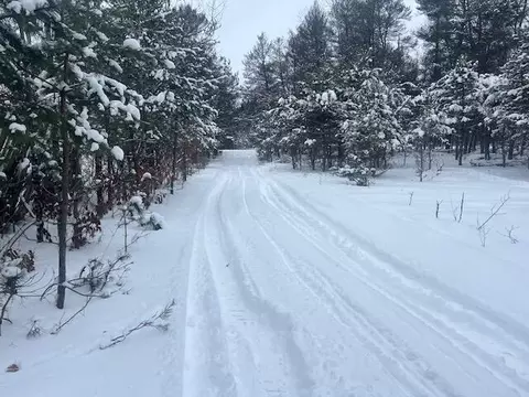 6694 E Co Rd 612, Grayling, MI 49738 photo 21