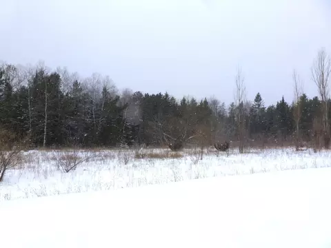Wildcat Court, Alpena, MI 49707